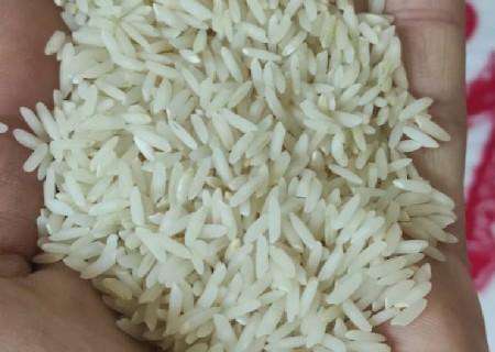 فروش برنج طارم هاشمی فریدونکنار + قیمت خرید به صرفه